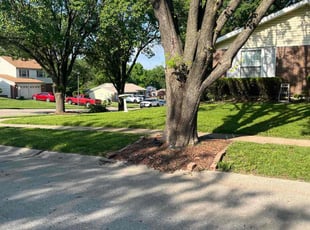 James G.'s Lawn Mowing service result