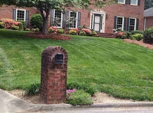 Bill M.'s Lawn Mowing Service service result