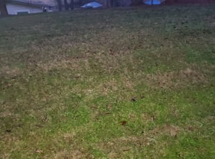 Leaf Removal by William Calloway for Cheyenne S. in Mooresville, NC