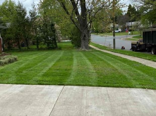 Will S.'s Lawn Mowing Service service result