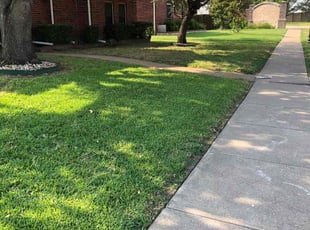 Wallon K.'s Lawn Mowing Service service result