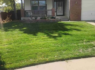 Natalee S.'s Lawn Mowing service result