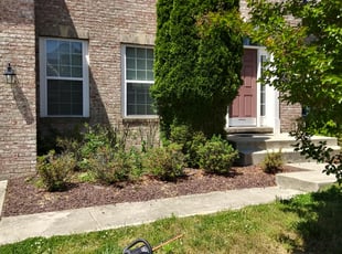 Bush Trimming by Greg Bush for Steven R. in Upper Marlboro, MD