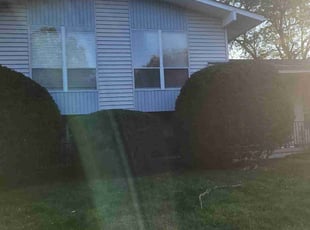 Bush Trimming by Dywane Clarke for Loren H. in Columbus, OH