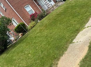 James A.'s Yard Cutting service result