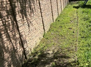 Weeding by Gabriel Aldrete Contreras for Adam Y. in Woodland, CA