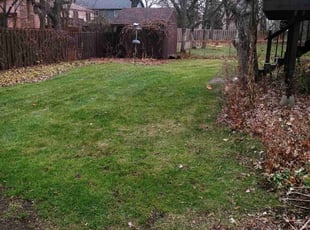Leaf Removal by Ryan Reitzel for E. in Minneapolis, MN