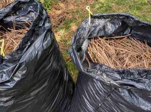 Tina T.'s Leaf Removal service result