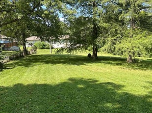 Brittany W.'s Lawn Service service result
