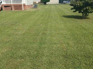 Denzel O.'s Lawn Mowing service result