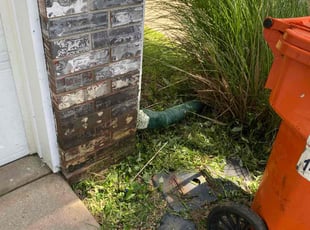 Sarah B.'s Cleanups service result