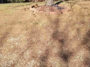 Leaf Removal by James Steele for Connor B. in Indian Trail, NC