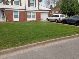 Michael H.'s Lawn Mowing service result