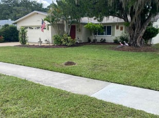 Donna L.'s Lawn Maintenance service result