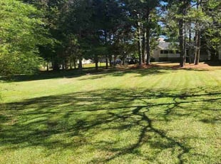 Jillian M.'s Lawn Mowing service result