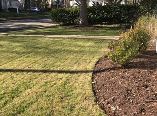 Leaf Removal by Davon Lightfoot for Suzanne H. in Richmond, VA