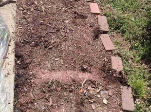 Weeding by Allan Roberts for Norrelle C. in Washington, DC