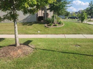 James S.'s Lawn Mowing service result