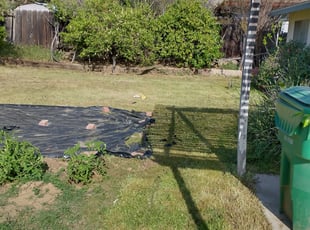 Cleanups by Phillup Martinez for Nitaya P. in Riverside, CA