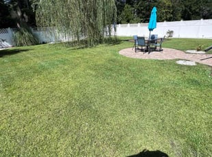 Daby L.'s Lawn Mowing service result