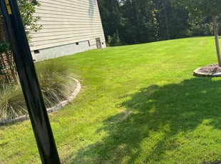 Elizabeth R.'s Lawn Maintenance service result
