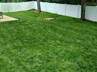 Kiri L.'s Lawn Maintenance service result