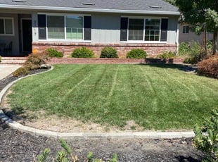 Sudheer Y.'s Lawn Service service result