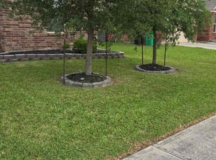 Jeff F.'s Lawn Service service result