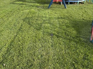 Deborah l.'s Lawn Service service result