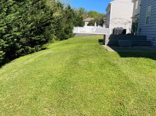 John P.'s Lawn Service service result