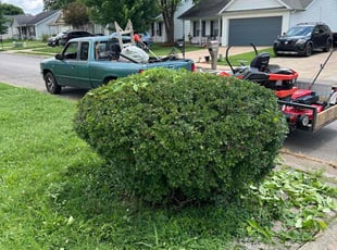 Margaret J.'s Bush Trimming service result