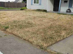 Cleanups by Christopher Agostini for Ken P. in Rancho Cordova, CA