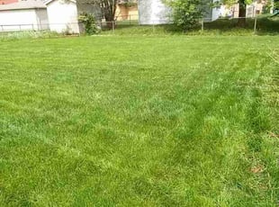 Mary C.'s Yard Cutting service result
