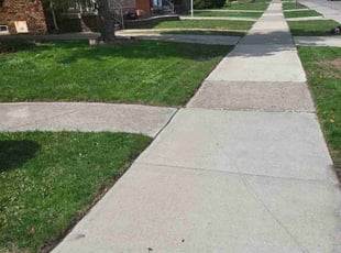 Stacey Z.'s Yard Cutting service result