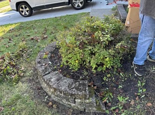 Bush Trimming by Dave Ehrenberg for Rebecca L. in Powell, OH