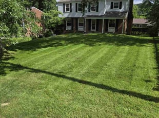 Mallorie G.'s Grass Cutting service result