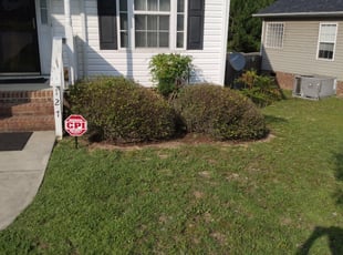 Bush Trimming by Shane Decoteau for Eunice P. in West Columbia, SC