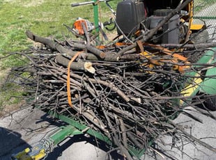 Cleanups by Harold Mabin Jr for Sara S. in Kansas City, MO