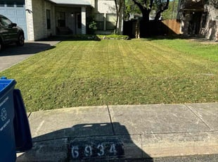 Anthony M.'s Lawn Mowing Service service result