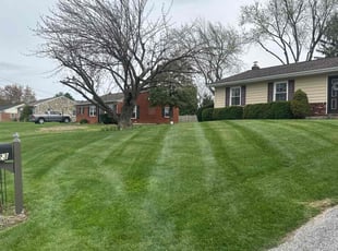 Sandra C.'s Lawn Mowing Service service result
