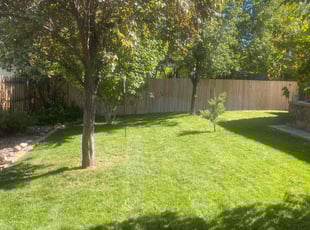 Jay K.'s Lawn Mowing service result