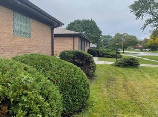 Bush Trimming by Jesus Guerra for Demetrios V. in Schaumburg, IL