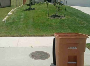 Terry W.'s Lawn Care service result