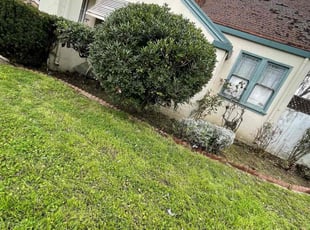 Weeding by Luis Enrique Rafael Chavez for Stacy L. in San Jose, CA