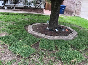 Aeration by Chaes Pate for Gregory s. in San Antonio, TX