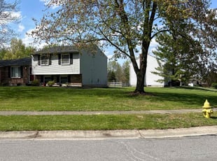 Terry L.'s Lawn Mowing service result
