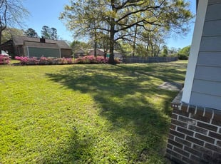 Randy C.'s Lawn Mowing service result