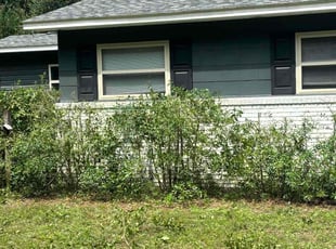 Bush Trimming by Kenneth Rome for Elan N. in Pensacola, FL