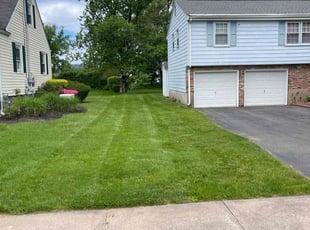 kathleen d.'s Yard Cutting service result