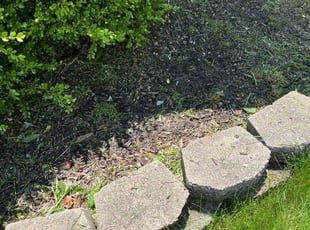 Weeding by Alisha Lawson for Cindy Y. in Dublin, OH